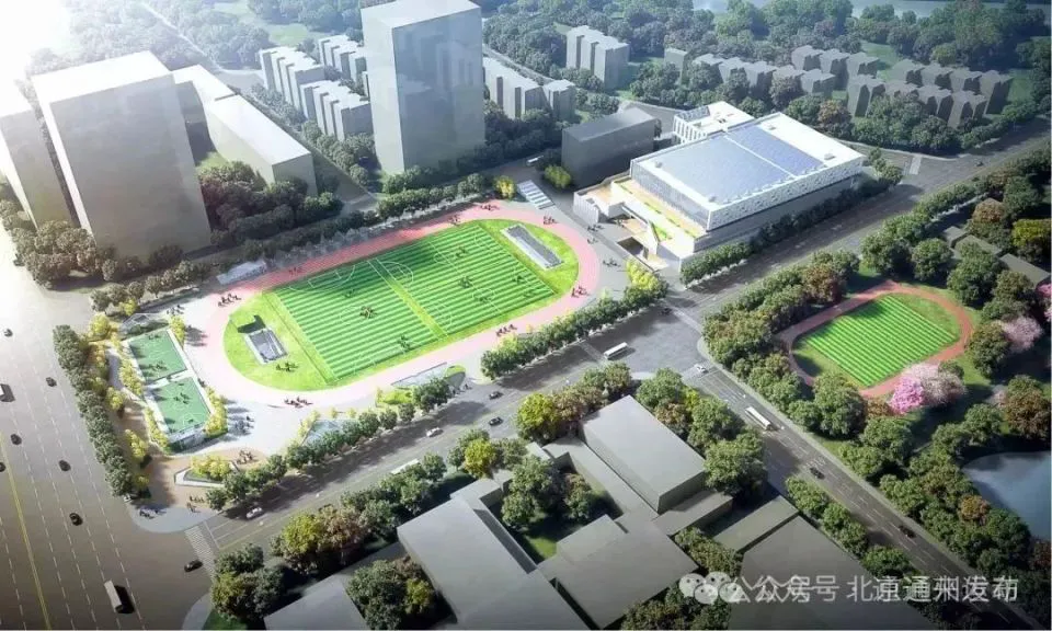 业余爱好者如何利用智能工具提升篮球水平_1